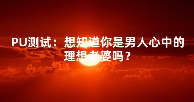PU测试：想知道你是男人心中的理想老婆吗？