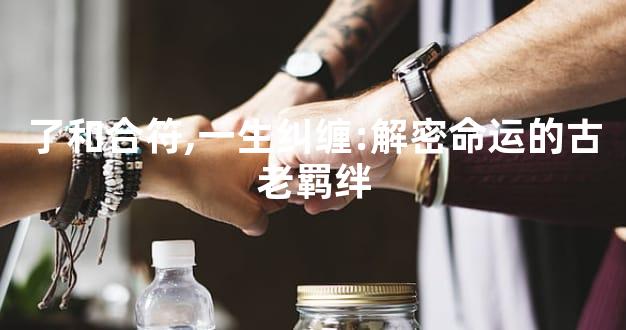 了和合符,一生纠缠:解密命运的古老羁绊