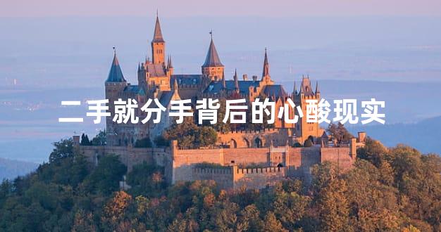 二手就分手背后的心酸现实