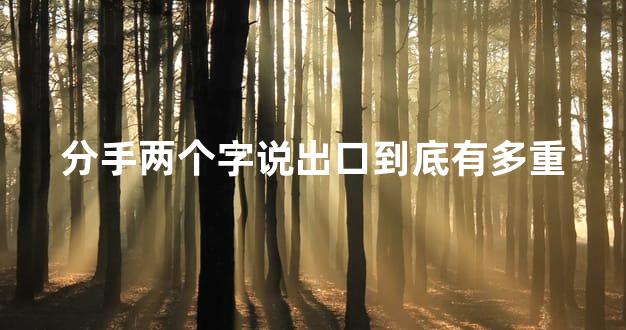 分手两个字说出口到底有多重