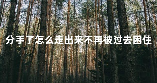 分手了怎么走出来不再被过去困住