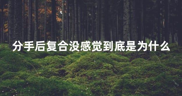 分手后复合没感觉到底是为什么