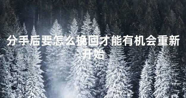 分手后要怎么挽回才能有机会重新开始