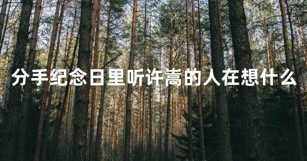 分手纪念日里听许嵩的人在想什么