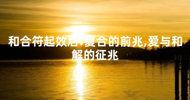 和合符起效后:复合的前兆,爱与和解的征兆
