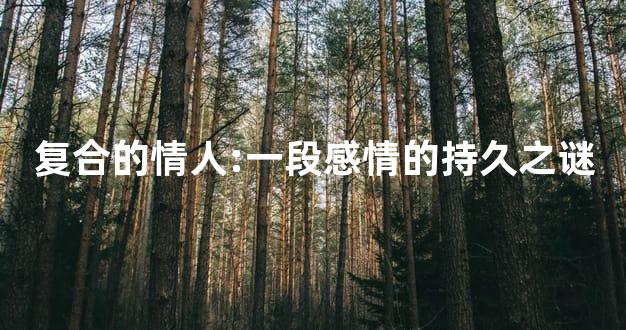 复合的情人:一段感情的持久之谜