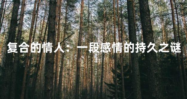 复合的情人：一段感情的持久之谜