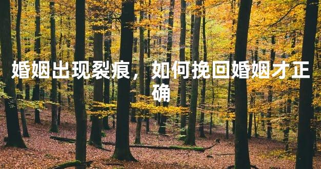 婚姻出现裂痕，如何挽回婚姻才正确