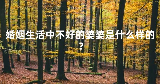 婚姻生活中不好的婆婆是什么样的？
