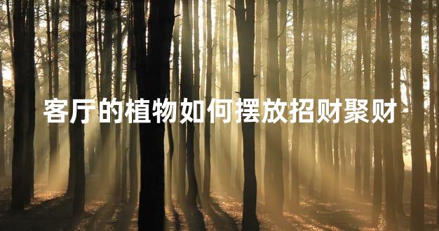 客厅的植物如何摆放招财聚财