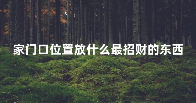 家门口位置放什么最招财的东西