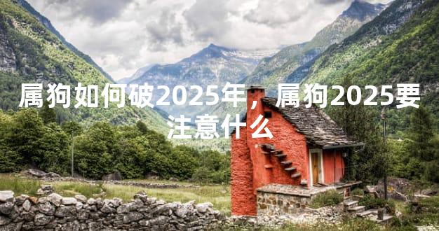 属狗如何破2025年，属狗2025要注意什么