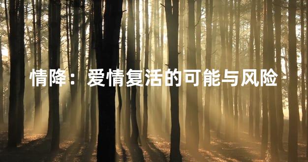 情降：爱情复活的可能与风险