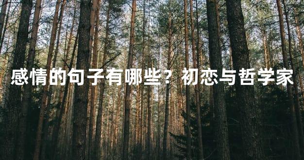 感情的句子有哪些？初恋与哲学家