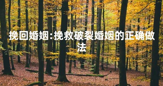 挽回婚姻:挽救破裂婚姻的正确做法