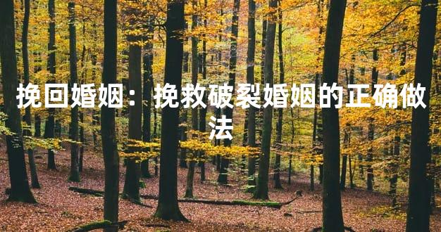 挽回婚姻：挽救破裂婚姻的正确做法