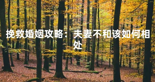 挽救婚姻攻略：夫妻不和该如何相处