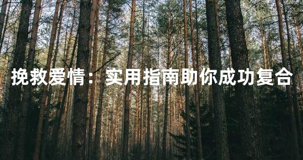 挽救爱情：实用指南助你成功复合