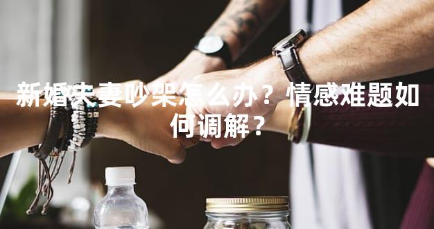 新婚夫妻吵架怎么办？情感难题如何调解？