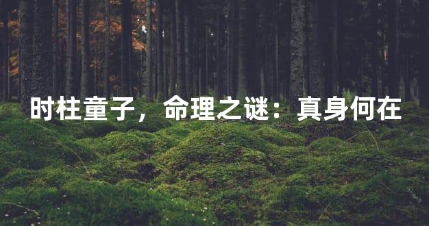 时柱童子，命理之谜：真身何在