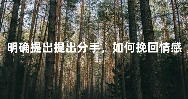 明确提出提出分手，如何挽回情感