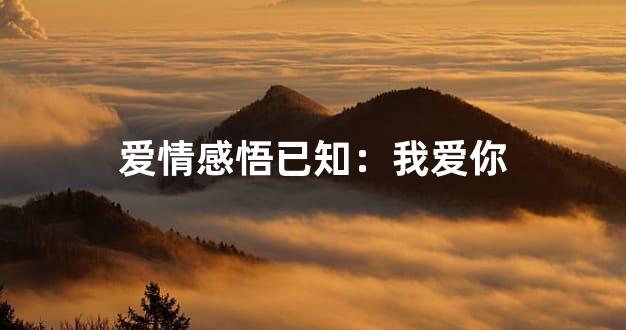 爱情感悟已知：我爱你
