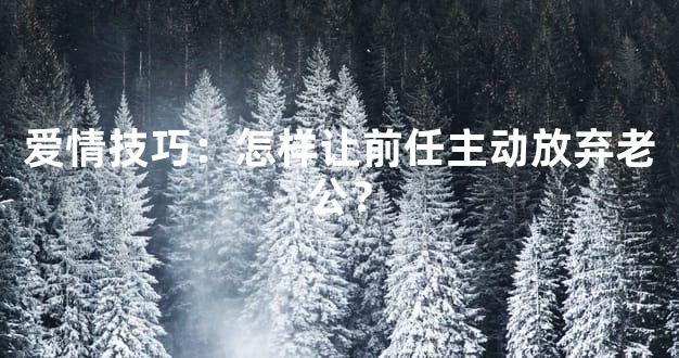 爱情技巧：怎样让前任主动放弃老公？
