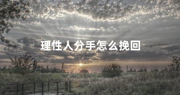 理性人分手怎么挽回