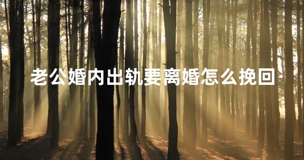 老公婚内出轨要离婚怎么挽回