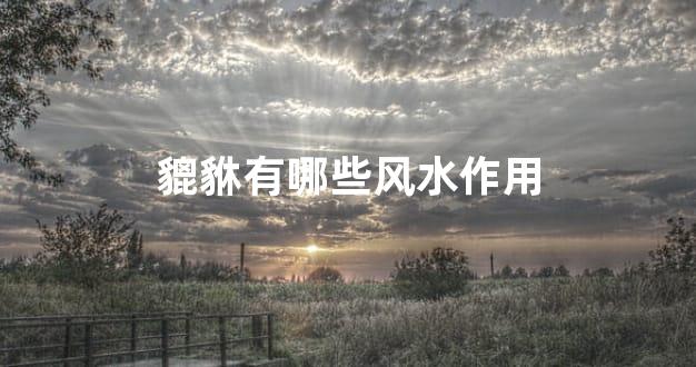 貔貅有哪些风水作用