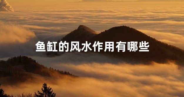 鱼缸的风水作用有哪些