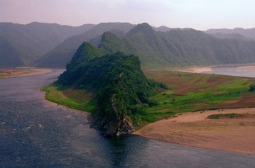 刘德华种生基